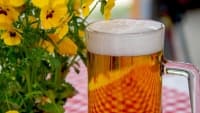 pivo beer